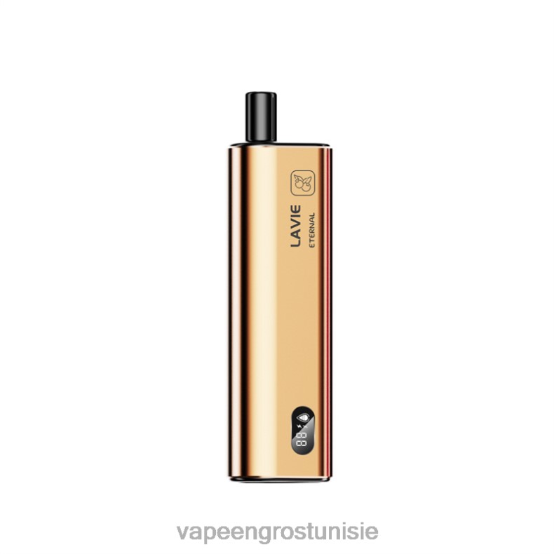 Cigarette Électronique Tunisie - LAVIE ETERNAL 10000 bouffées 80XZV128 baies mélangées