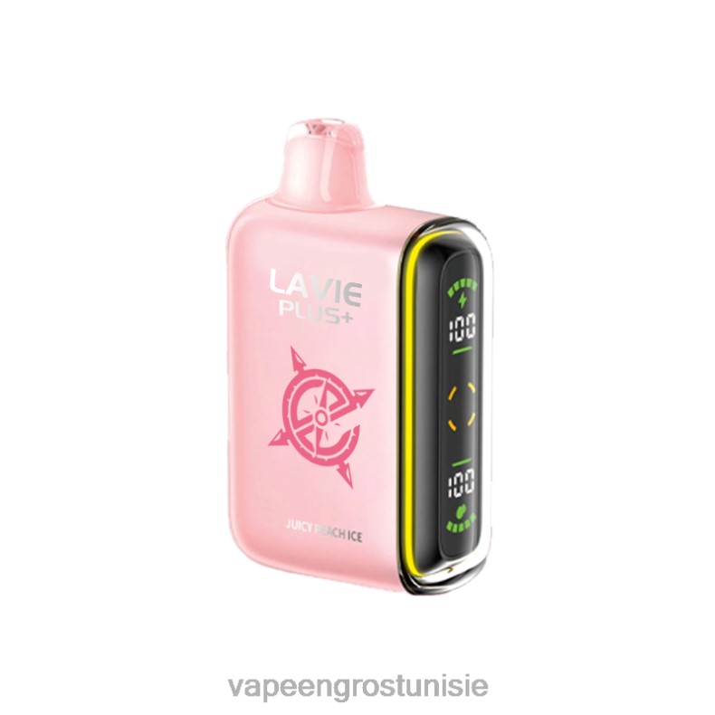 Cigarette Électronique Jetable Prix - LAVIE PLUS 15000 bouffées 80XZV99 glace à la pêche juteuse