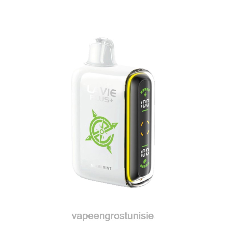 Cigarette Électronique Tunisie - LAVIE PLUS 15000 bouffées 80XZV98 menthe de Miami