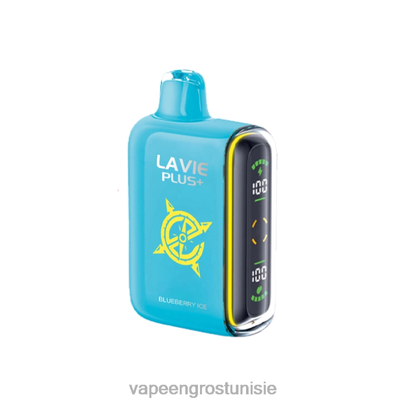 Vape En Gros - LAVIE PLUS 15000 bouffées 80XZV101 glace aux myrtilles