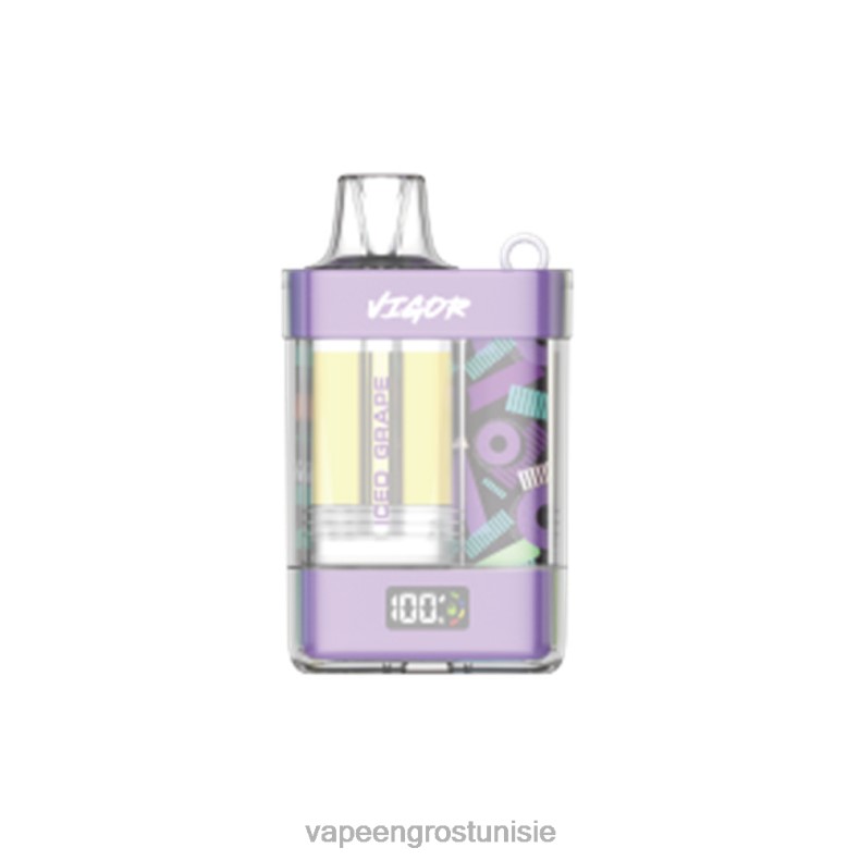 Cigarette Électronique Tunisie - LAVIE VIGOR 15000 bouffées 80XZV8 raisin glacé