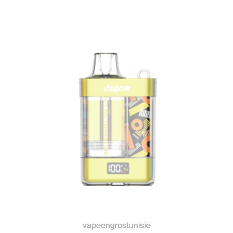 Vape En Gros - LAVIE VIGOR 15000 bouffées 80XZV11 litchi pastèque