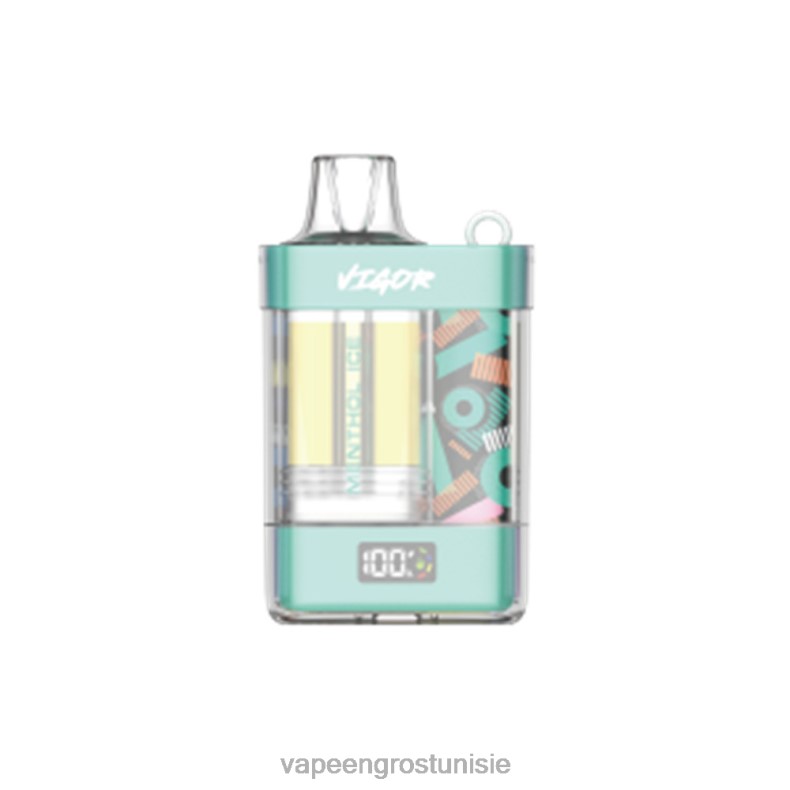 Vape En Gros Tunisie - LAVIE VIGOR 15000 bouffées 80XZV2 glace mentholée