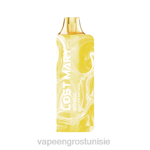 Vape En Gros - brun gingembre NHPL521 LOST MARY MO5000