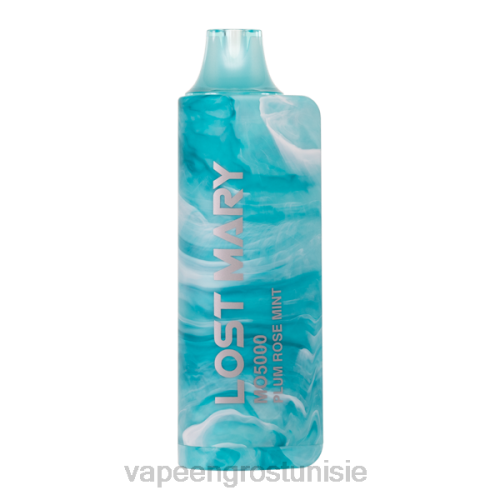 Vape En Gros - prune rose menthe NHPL531 LOST MARY MO5000