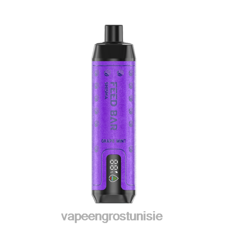 Cigarette Électronique Jetable Tunisie - Vapsolo SHISHA vape jetable menthe raisin 6N6RB100
