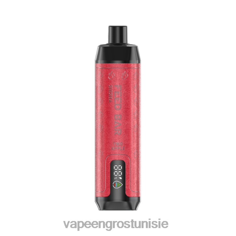 Cigarette Électronique Prix Tunisie - Vapsolo SHISHA vape jetable deux pommes 6N6RB106