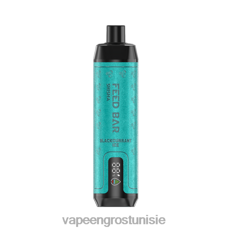 Cigarette Électronique Prix Tunisie - Vapsolo SHISHA vape jetable glace au cassis 6N6RB96
