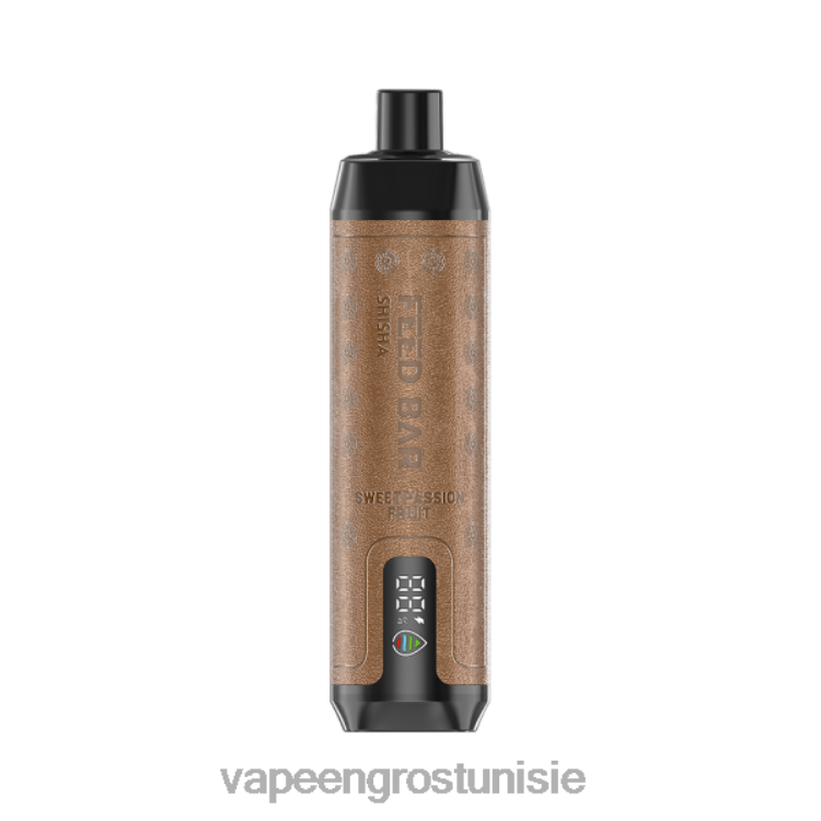 Cigarette Électronique Prix - Vapsolo SHISHA vape jetable fruit de la passion 6N6RB105