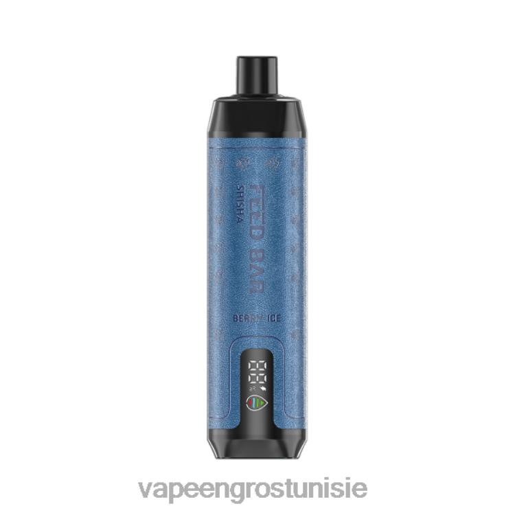 Cigarette Électronique Prix - Vapsolo SHISHA vape jetable glace aux baies 6N6RB95
