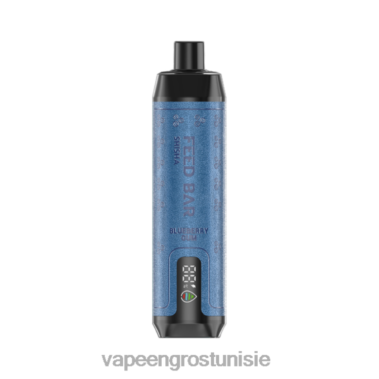 Cigarette Électronique Tunisie - Vapsolo SHISHA vape jetable gomme de myrtille 6N6RB98