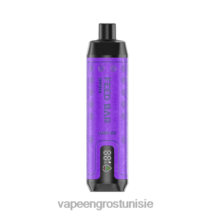 Vape En Gros Tunisie - Vapsolo SHISHA vape jetable glace luxuriante 6N6RB102