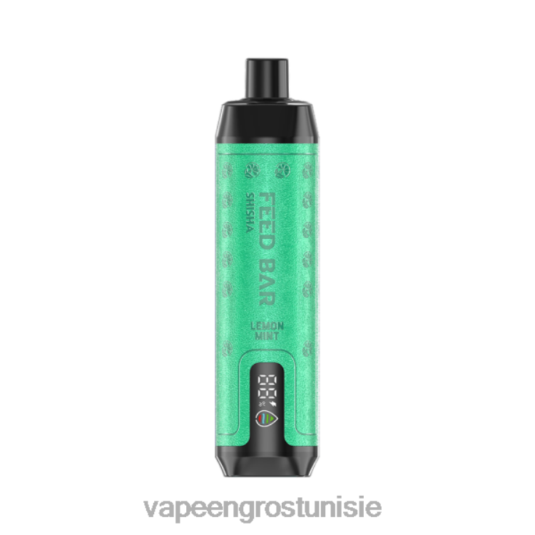 Vape En Gros - Vapsolo SHISHA vape jetable menthe citronnée 6N6RB101