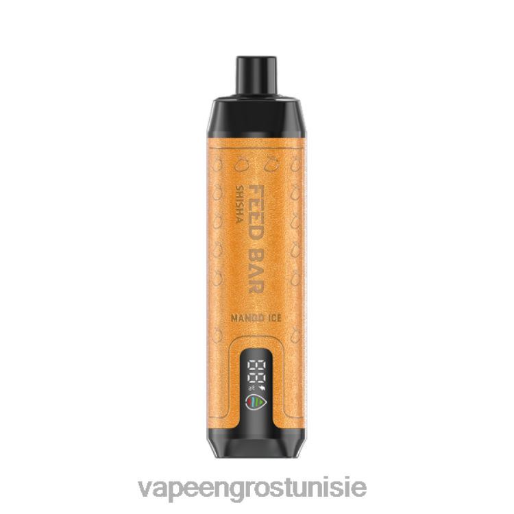 Vapoteuse En Gros - Vapsolo SHISHA vape jetable glace à la mangue 6N6RB103