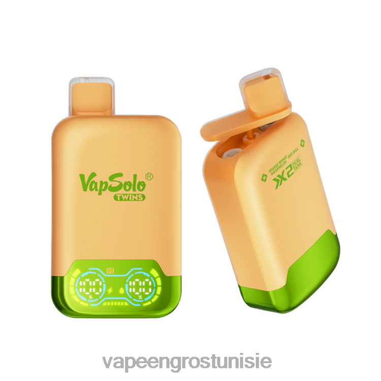 Cigarette Electronique Grossiste - Vapsolo TWINS vape jetable pastèque mangue orange & taureau rouge 6N6RB124