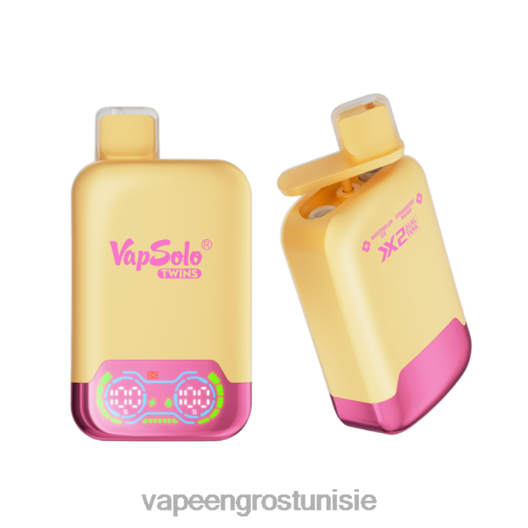 Cigarette Électronique Jetable Prix - Vapsolo TWINS vape jetable glace pastèque & fraise mangue 6N6RB129