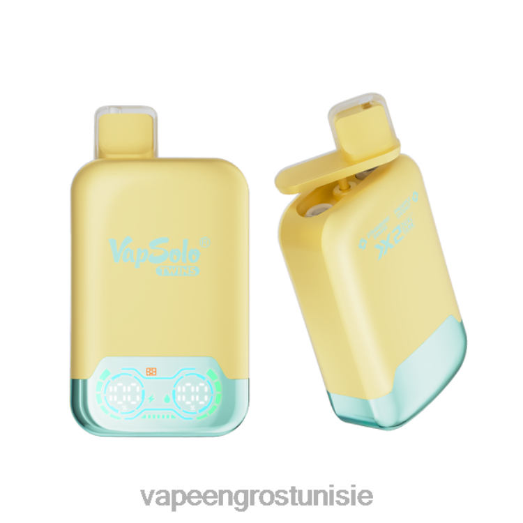 Cigarette Électronique Prix - Vapsolo TWINS vape jetable ananas noix de coco & fraise banane 6N6RB125