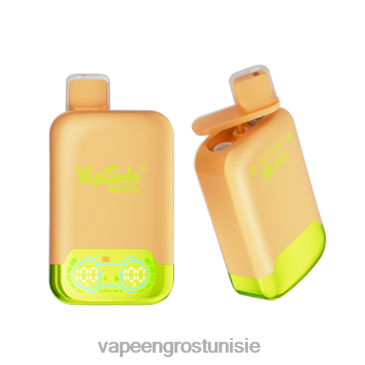 Vapoteuse En Gros - Vapsolo TWINS vape jetable glace citron vert & pastèque 6N6RB123