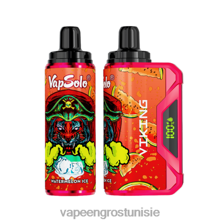 Vape En Gros Tunisie - Vapsolo VIKING vape jetable glace à la pastèque 6N6RB142