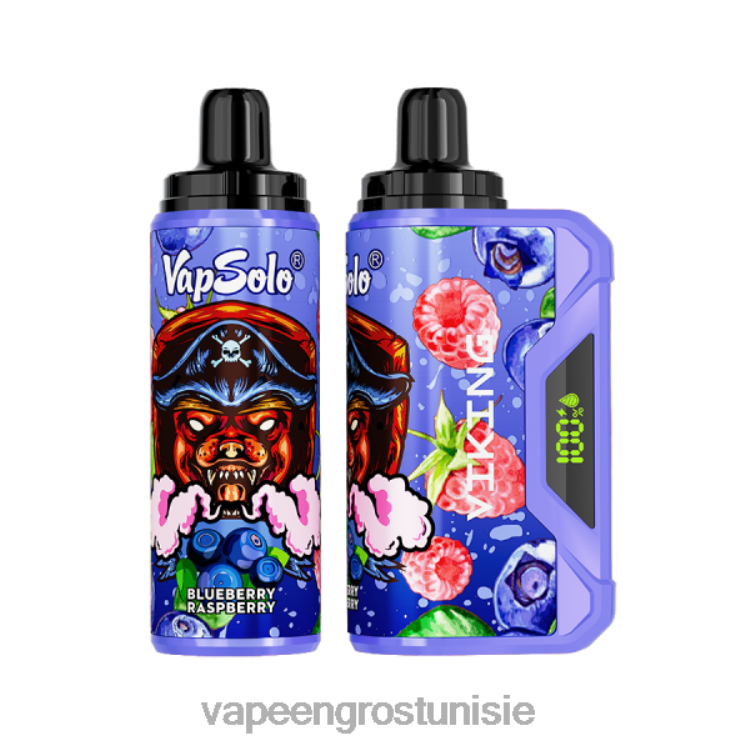 Vape En Gros Tunisie - Vapsolo VIKING vape jetable myrtille framboise 6N6RB132