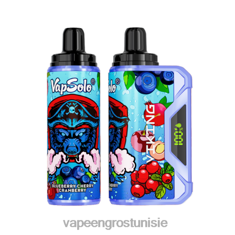 Vape En Gros - Vapsolo VIKING vape jetable myrtille cerise canneberge 6N6RB131