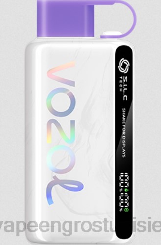 Vapoteuse En Gros - glace aux raisins NHPL13 VOZOL STAR 9000/12000 5%