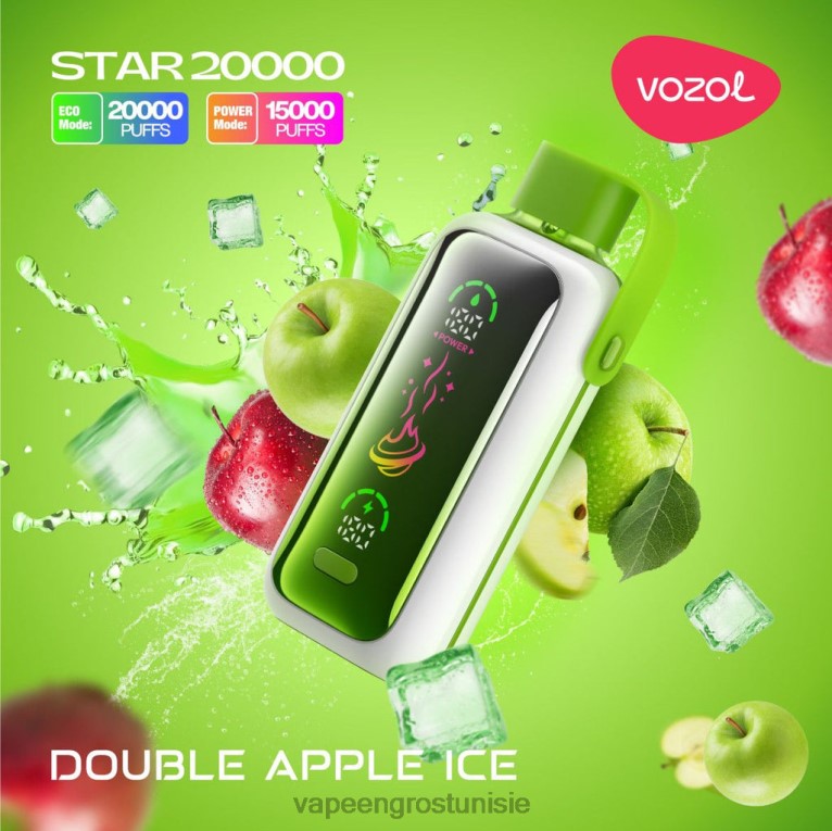 Cigarette Électronique Jetable - VOZOL STAR 20000 806RT7 glace aux pommes double